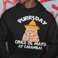 Cinco De Mayo Purrsday Cat Sombrero Mexican Party Cats Lover Hoodie Unique Gifts