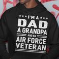 Dad Grandpa Air Force Veteran Vintage Top Mens Gift Hoodie Funny Gifts
