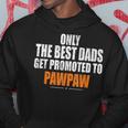 Dads Get Promoted To Pawpaw GrandpaGift For Mens Hoodie Unique Gifts