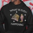Frog What Is Even Happening Funny Frog Inspired Hoodie Unique Gifts