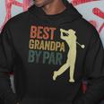 Funny Best Grandpa By Par Apparel Golf Dad Fathers Day Gift For Mens Hoodie Unique Gifts