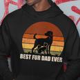 Funny Vintage Retro Best Fur Dad Ever For Dog And Cat Owner Hoodie Funny Gifts