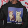 Gaslighting Isnt Real You Crazy BITCH Funny Cat Lover Hoodie Unique Gifts