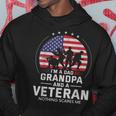 I Am A Dad Grandpa And A Veteran Nothing Scares Me Usa Gift V3 Hoodie Funny Gifts