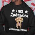 I Like Labradors And Maybe 3 People Yellow Lab Gift Labrador Hoodie Funny Gifts