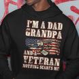 Im A Dad Grandpa And A Veteran Nothing Scares Me Hoodie Funny Gifts