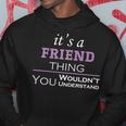 Its A Friend Thing You Wouldnt Understand Friend For Friend Hoodie Funny Gifts