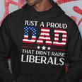 Mens Funny Anti Liberal Republican Dad Gifts Us Flag Fathers Day Hoodie Funny Gifts