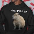 Ok I Pull Up Capybara V2 Hoodie Unique Gifts