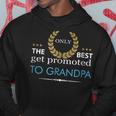 Only Best Promoted To Grandpa Love Grandfather Gift Gift For Mens Hoodie Unique Gifts