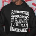 Promoted From Dog Grandparent To Human Grandparent Hoodie Unique Gifts