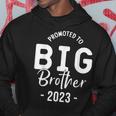 Promoted To Big Brother 2023 Big Brother 2023 Hoodie Unique Gifts