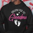 Promoted To Grandma First Time Grandparent Pregnant Cute Hoodie Unique Gifts