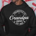 Promoted To Grandpa Again 2023 Soon To Be Family Pregnancy Hoodie Unique Gifts