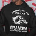 Promoted To Great Grandpa Again 2020 Hoodie Unique Gifts