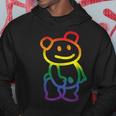 Reflective Bear Gay Pride Flag Lgbt-Q Ally Cute Animal Hoodie Unique Gifts