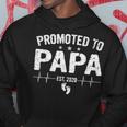 Retro Promoted To Papa Est 2020 Fathers Day New Grandpa Hoodie Funny Gifts