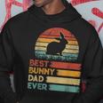 Retro Vintage Best Bunny Dad Ever Animals Lover Hoodie Funny Gifts