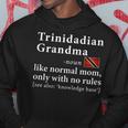 Trinidadian Tobagonian Grandma Definition Trinidad & Gift For Womens Hoodie Unique Gifts