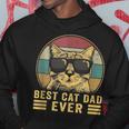 Vintage Best Cat Dad Ever Bump Fit Funny Fathers Day Hoodie Funny Gifts