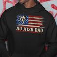 Vintage Bjj Jiu-Jitsu Dad American Usa Flag Sports Gift Hoodie Funny Gifts