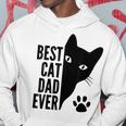 Best Cat Dad Ever Funny Cat Fathers Day Dad Kitty Lovers Hoodie Personalized Gifts