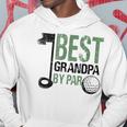 Best Grandpa By Par Graphic Novelty Sarcastic Funny Grandpa Hoodie Unique Gifts