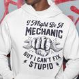 I Might Be A Mechanic But I Cant Fix Stupid Funny Gifts Hoodie Unique Gifts