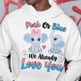 Pink Or Blue We Always Love You Funny Elephant Gender Reveal Hoodie Unique Gifts