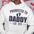Promoted To Daddy Est 2023 For Dad New Baby Hoodie Unique Gifts