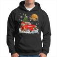 Cavoodle Dog Riding Red Truck Christmas Decorations Men Hoodie Graphic Print Hooded Sweatshirt