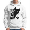 Best Cat Dad Ever Funny Cat Fathers Day Dad Kitty Lovers Hoodie