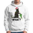 Funny Black Cat Pushing Christmas Tree Over Cat Christmas V2 Men Hoodie Graphic Print Hooded Sweatshirt