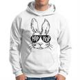 Hip Hop Bunny With Sunglasses Easter Hippity Rabbit Funny Hoodie