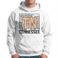 Tennessee State Flag Orange Plaid Tn Hoodie