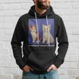 Gaslighting Isnt Real You Crazy BITCH Funny Cat Lover Hoodie Gifts for Him