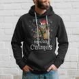 Meowy Catmas Funny Santa Cat Merry Christmas Cat Lover Men Hoodie Graphic Print Hooded Sweatshirt Gifts for Him