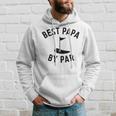 Best Papa By Par Funny Golf Fathers Day Grandpa Gifts Gift For Mens Hoodie Gifts for Him