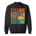 Best Rabbit Dad Ever Funny Rabbits Men Father Vintage Sweatshirt