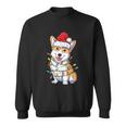 Corgi Santa Christmas Tree Lights Xmas Boys Men Corgmas Dog Tshirt Sweatshirt