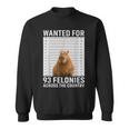 Funny Capybara Hot For 93 Felonies Hilarious Capybara Sweatshirt