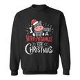 I Want A Hippopotamus For Christmas Funny Cute Sweatshirt