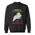 Math Christmas Pajama I Want A Hippopotenuse For Christmath Sweatshirt