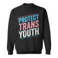 Protect Trans Youth Trans Pride Transgender Lgbt Sweatshirt