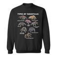 Types Of Tarantulas Pink Toe Chilean Mexican Hairy Spider Sweatshirt