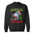 Xmas I Want A Hippopotamus For Christmas Hippo Candy V2 Men Women Sweatshirt Graphic Print Unisex