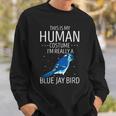 Blauhäher Menschliches Kostüm Sweatshirt, Stellers Jay Tierisches Design Geschenke für Ihn