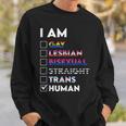 I Am Gay Lesbian Bisexual Straight Trans Human Sweatshirt Gifts for Him