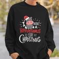 I Want Hippopotamus For Christmas Hippo Xmas Cute Gift Sweatshirt Gifts for Him