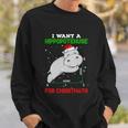 Math Christmas Pajama I Want A Hippopotenuse For Christmath Sweatshirt Gifts for Him